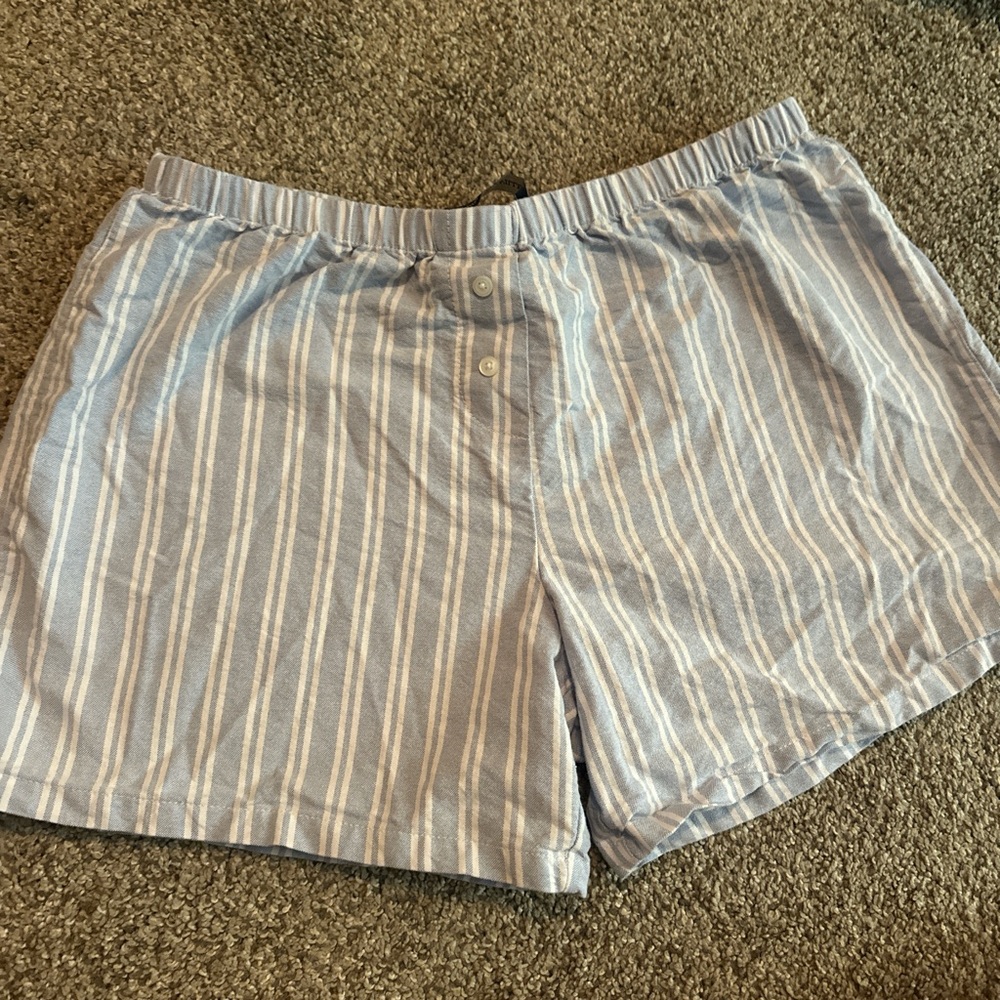 Brandy Melville Blue and White Striped Shorts